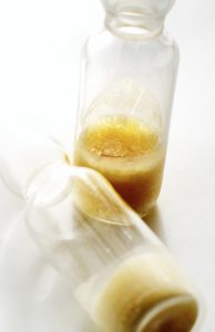 pchelno-mlechice-(1)
