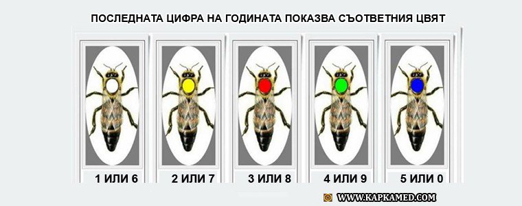Маркиране или белязване на пчелните майки - Цветове за съответната година