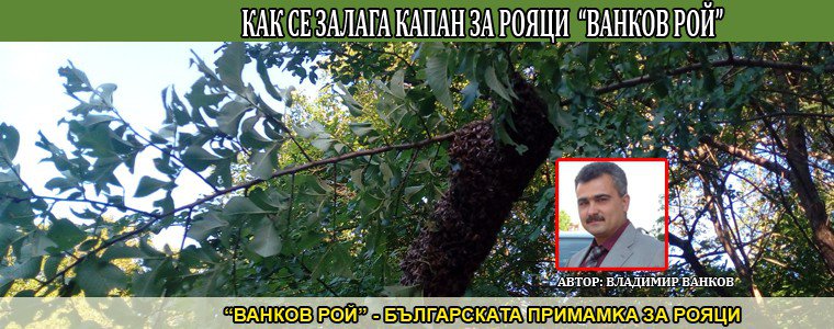 Как се залага примамка за пчелни рояци "Ванков Рой"