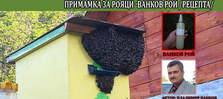 Примамка за рояци и хващане на пчелни рояци- Ванков Рой (СНИМКИ)